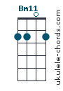 Bm11