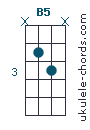 B5