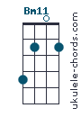 Bm11