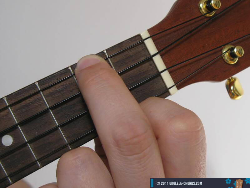 Am Acorde De Ukelele Descubre el efecto ukulele soprano en todo tus dedos, tienes que tener uno, si aun no lo tienes ni lo pienses #ukulele #ukuleles. am acorde de ukelele